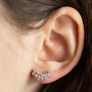 Climber Earrings